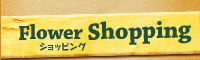 Flower Shopping �ԉ� �F�{�s��] �ԑ� �u�[�P